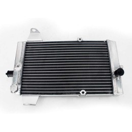 Kawasaki KFX 700 Radiator 39060 0006