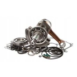 Hot rods yamaha yfm engine bottom repair kit