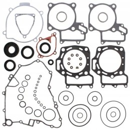 Winderosa vertex set of gaskets with seals