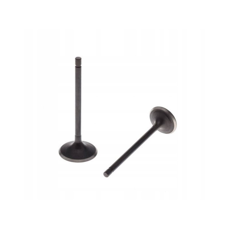 Exhaust intake valve for ATV Bashan 250 quad set