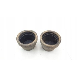 Polaris phoenix 200 cap Polish