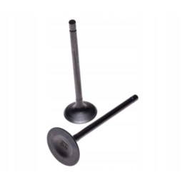 Atv cross 250 4t loncin exhaust intake valves