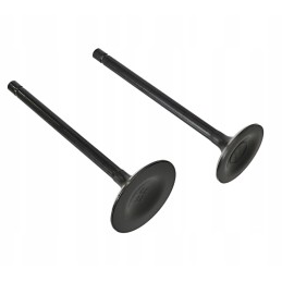 Exhaust intake valve quad atv bashan shineray 250