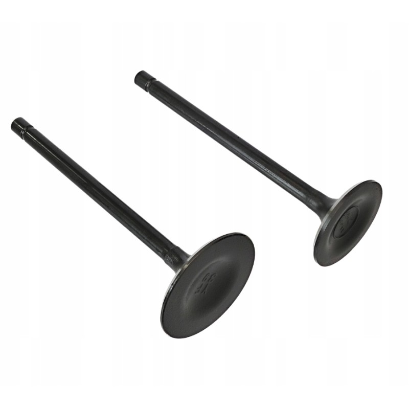 Exhaust intake valve quad atv bashan shineray 250