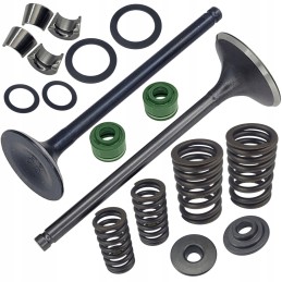 Exhaust intake valve quad atv bashan 200