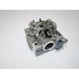 Original Can Am Outlander Renegade 1000 head, new