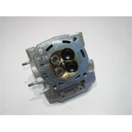 Original Can Am Outlander Renegade 1000 head, new