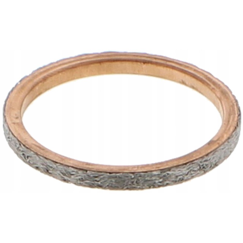 Manifold gasket Polaris Sportsman 550 09 13