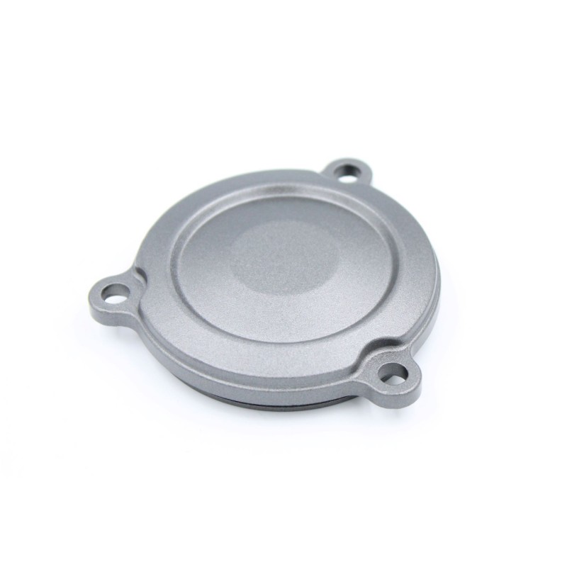 Starter clutch cover 169065150020