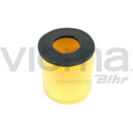 Air filter Moto Vicma 10017