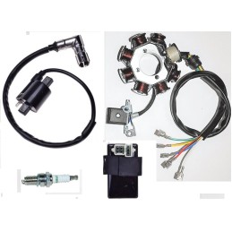 Iskronik module, coil glow, quad bashan 200 250