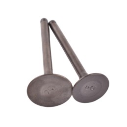 Valve valves 2 pcs set 110 los quad atv king jolly