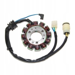 Electrosport alternator winding stator with lights