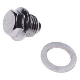 Kinroad quad atv timing chain tensioner bolt