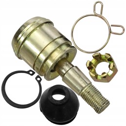 Lower wishbone end pin for quad atv eagle lyda