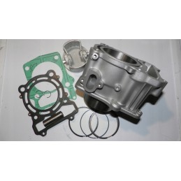 Hisun 500 cylinder piston rings seals inca