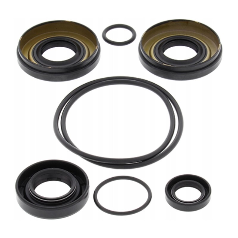 Kawasaki KVF 650 differential repair kit