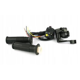 Gas body switch and levers for ATV Quad