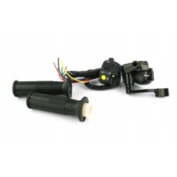 Gas body switch and levers for ATV Quad