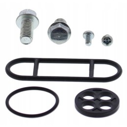 Kawasaki kef300 95 tap repair kit