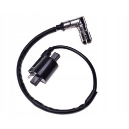 Ignition coil atv 200 250 bashan quad