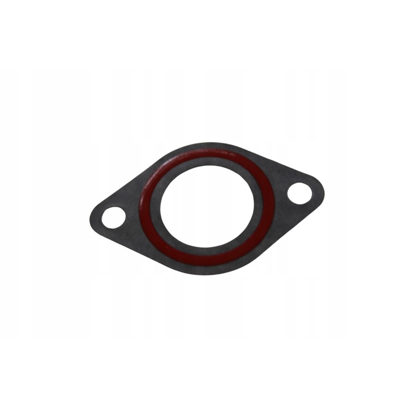 Lucky star 250 300 carburetor gasket