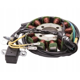 Igniter for ATV 250cc 4t 12 coils