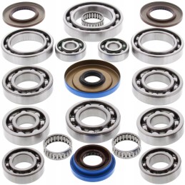 Polaris RZR 900 differential repair kit