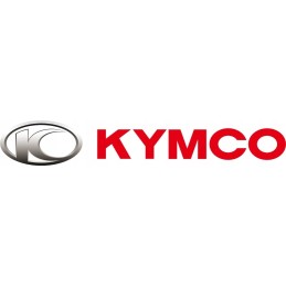 Kymco mxu 500 700 front swing arm repair kit