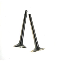 Valve head valves, intake, exhaust cross 200 250