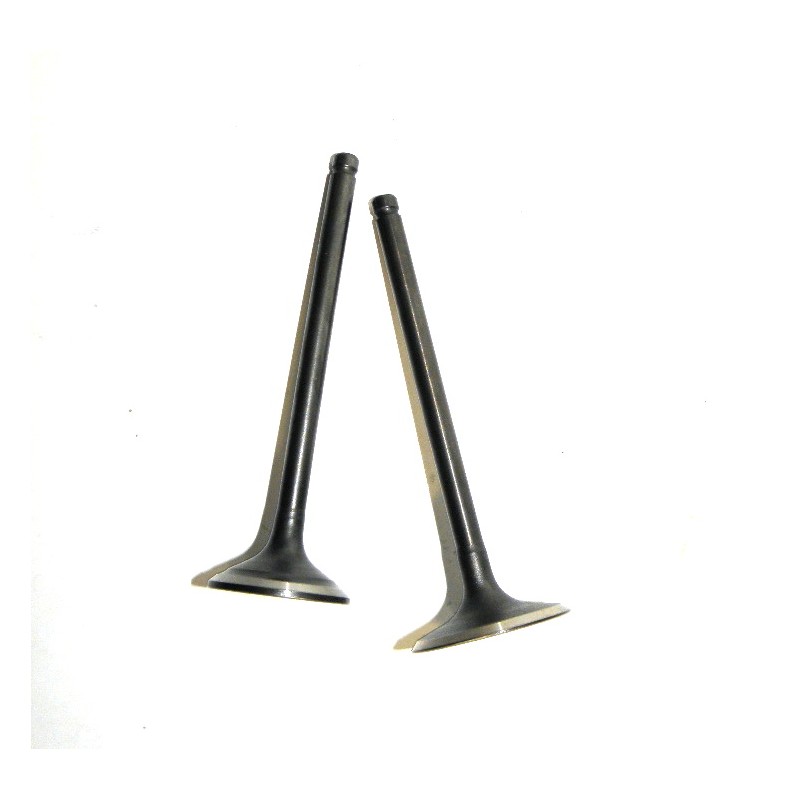 Valve head valves, intake, exhaust cross 200 250