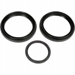 Arctic Cat 700 rear differential seal kit