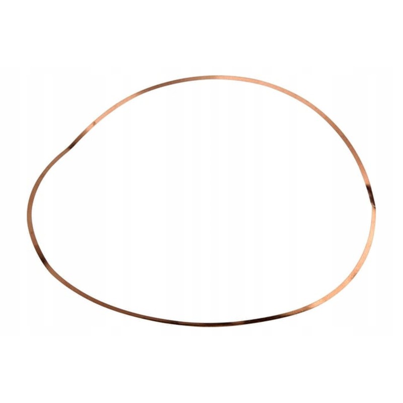 269031558321 engine cylinder liner washer