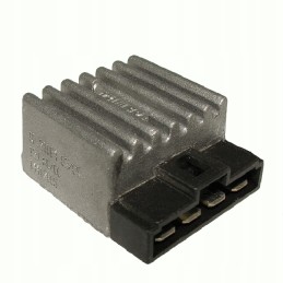 Voltage regulator rs2 12 80w 4t 0 005 070 5000