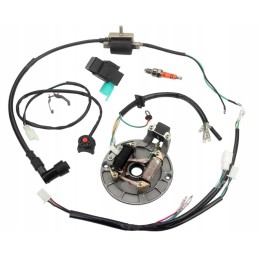 Installation harness, stator, ignition switch