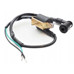 Installation harness, stator, ignition switch