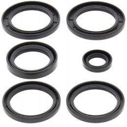 All balls rear differential seals Kawasaki KVF650 brute force 05 1
