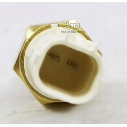 Kawasaki KVF 750 brute force temperature sensor