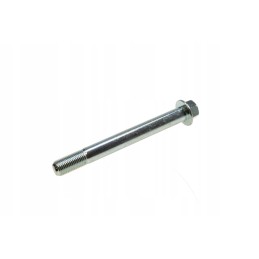 Lucky Star swing arm bolt original