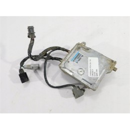 Module computer controller yamaha yfm 550 700 grizzly