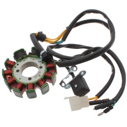 Quad ATV Loncin 200 stator ignition magneto 11 coils