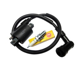 Spark plug coil atv quad bashan shineray