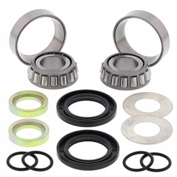 Swingarm bearings Kawasaki KFX 700 V Force 04 09