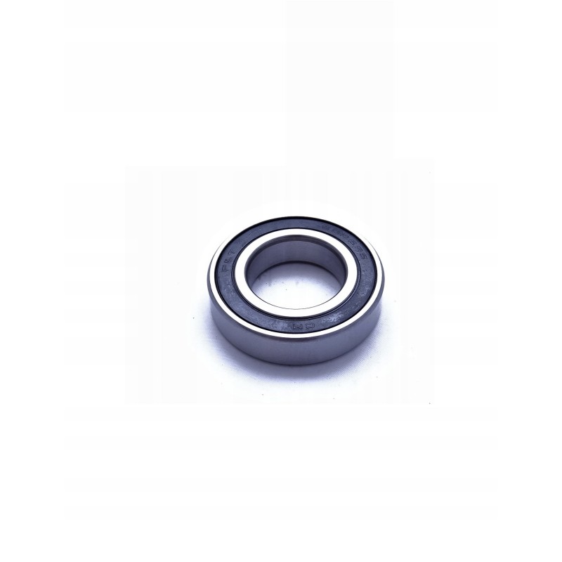 Bearing 6006 2rs flt