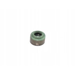 Polaris 500 outlaw predator exhaust valve seal