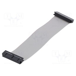 1 pcs x AMPHENOL - FC26600-0 - Ribbon cable with IDC connectors, Cable ph: 1.27mm, 0.6m