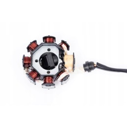 Igniter 8 coils atv 150 200 250 bashan