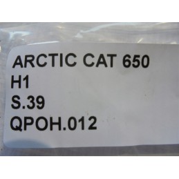 Arctic Cat 650 H1 brake pump reservoir
