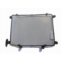 Radiator cover Kawasaki KVF 750 Brute Force