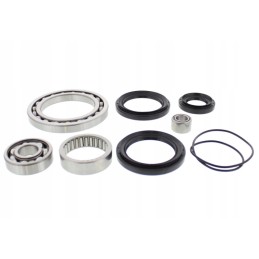 Yamaha YXR 700 Rhino differential repair kit